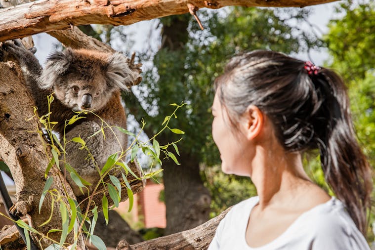 Adelaide Zoo