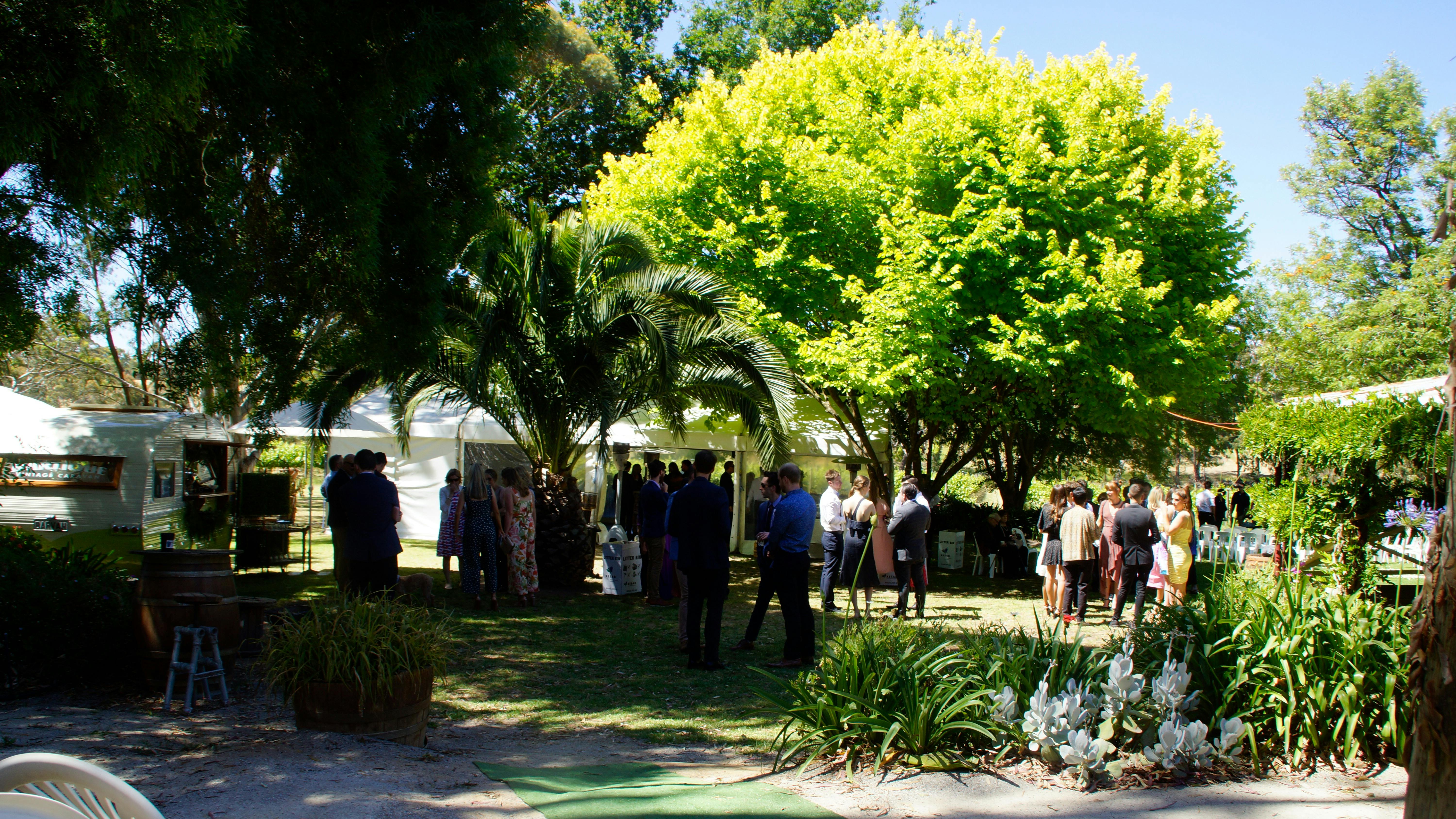 Magpie Springs Garden Party venue hire.  Garden surrounded by vines near the cellar door/art gallery