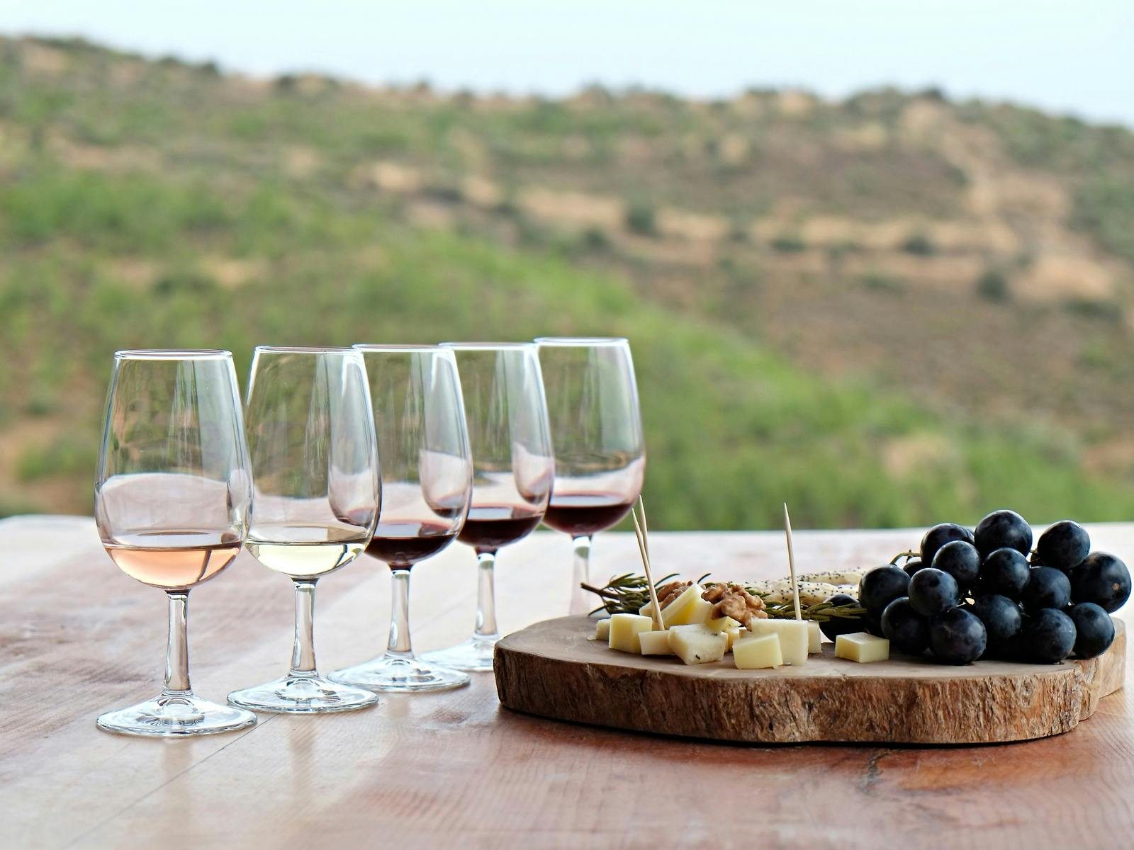 Wine Tasting