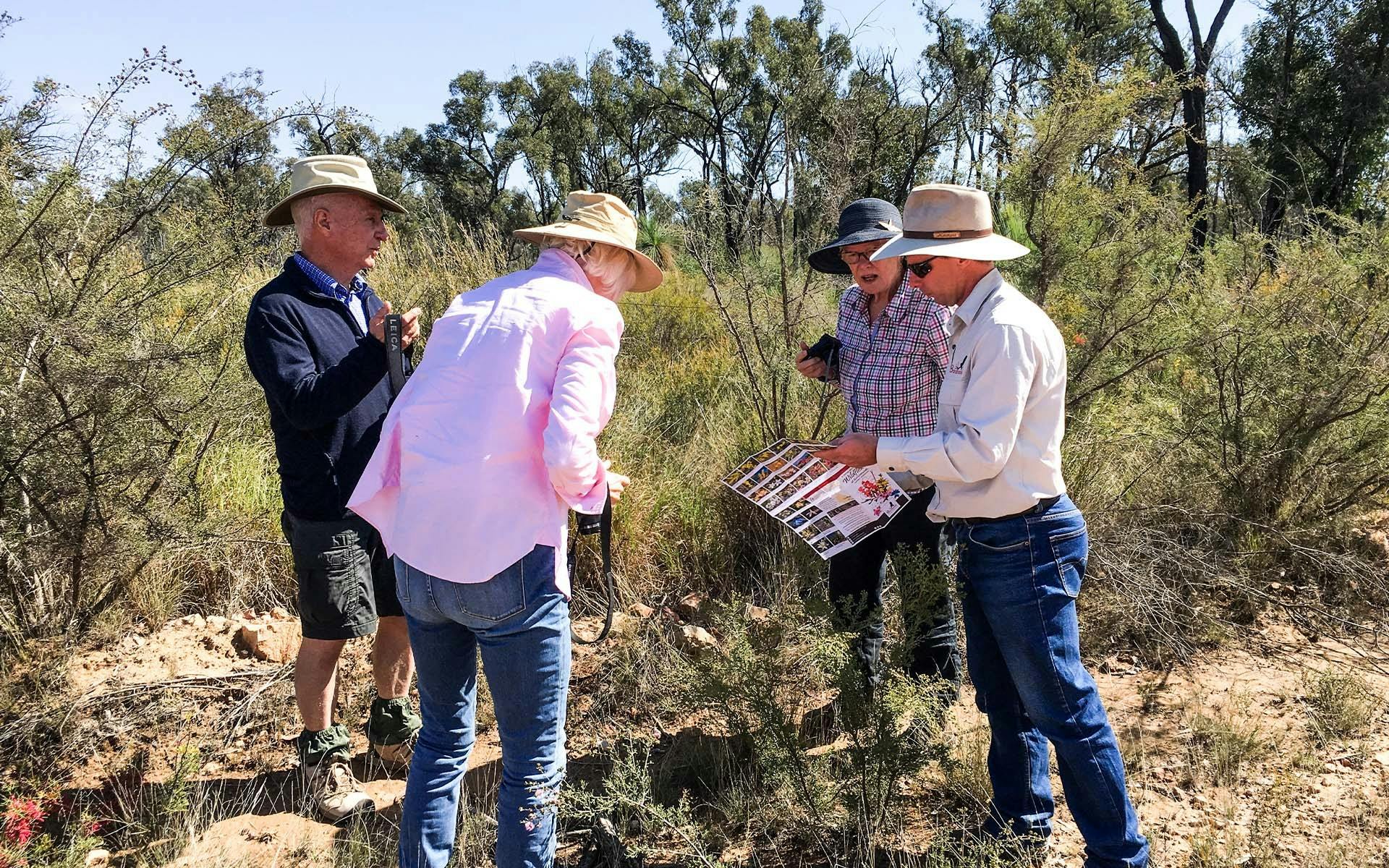 Four people reading a flower guide in the bush