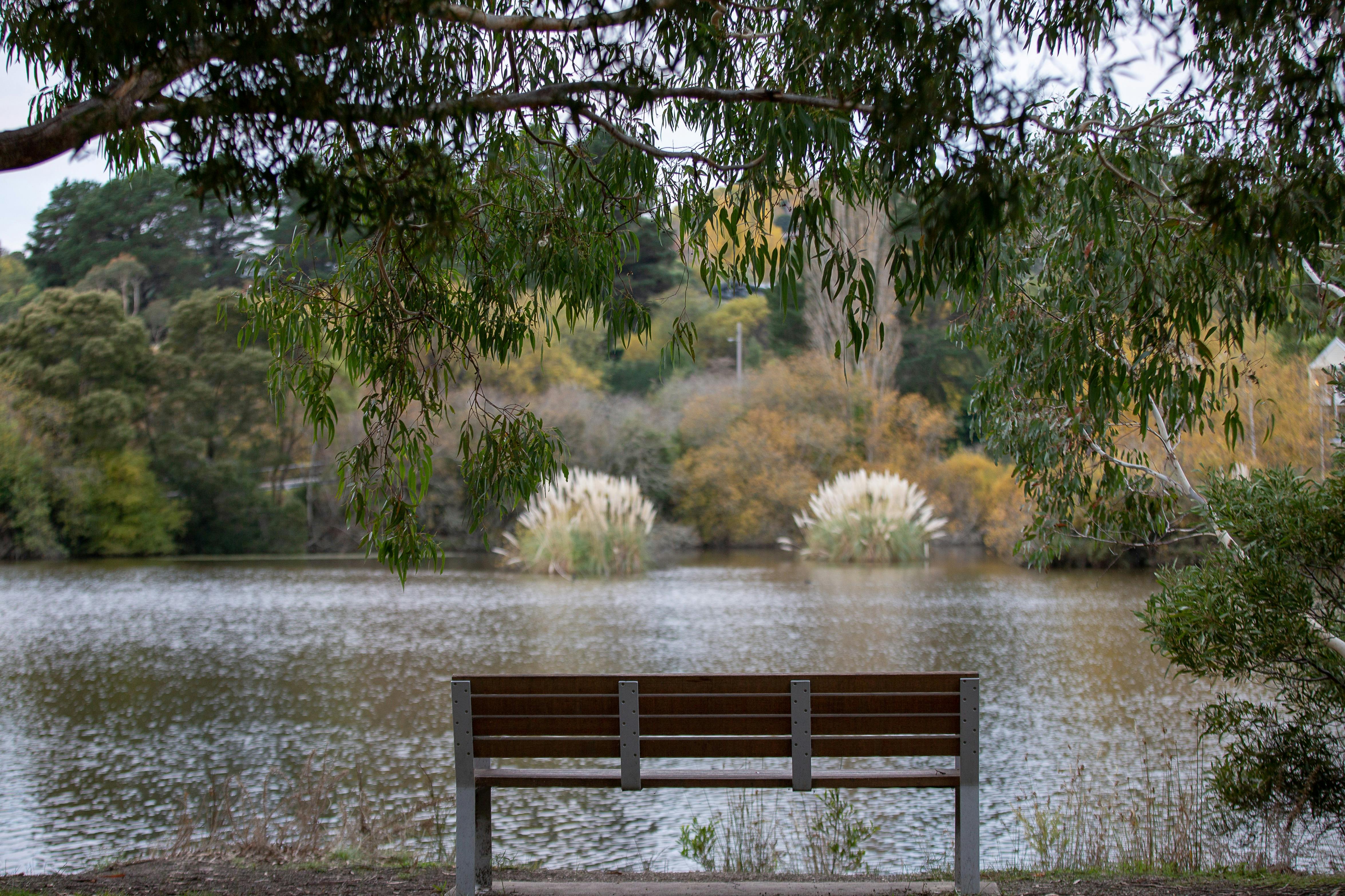 A park chair overlooking a lake and gardens