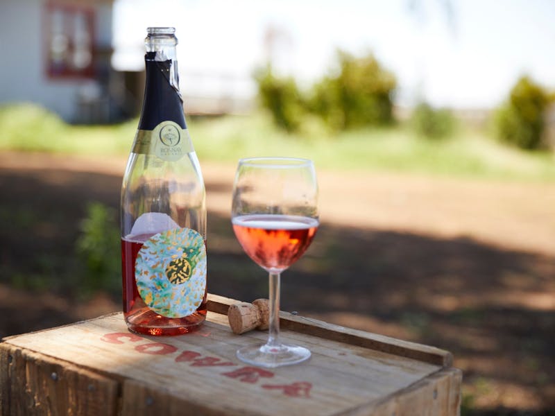 Rosnay Organic Farm and Vineyard Cellar Door edit