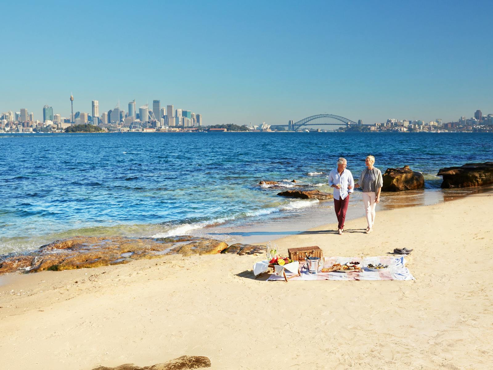 サメ島でのピクニック