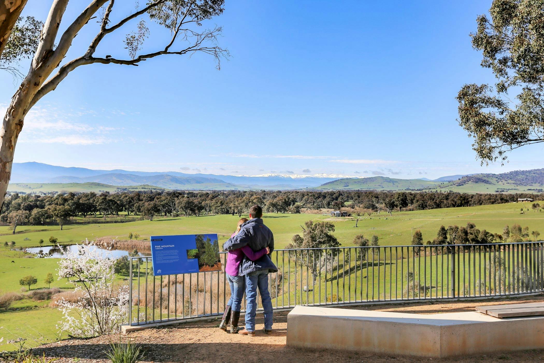 The trout sculpture at Khancoban