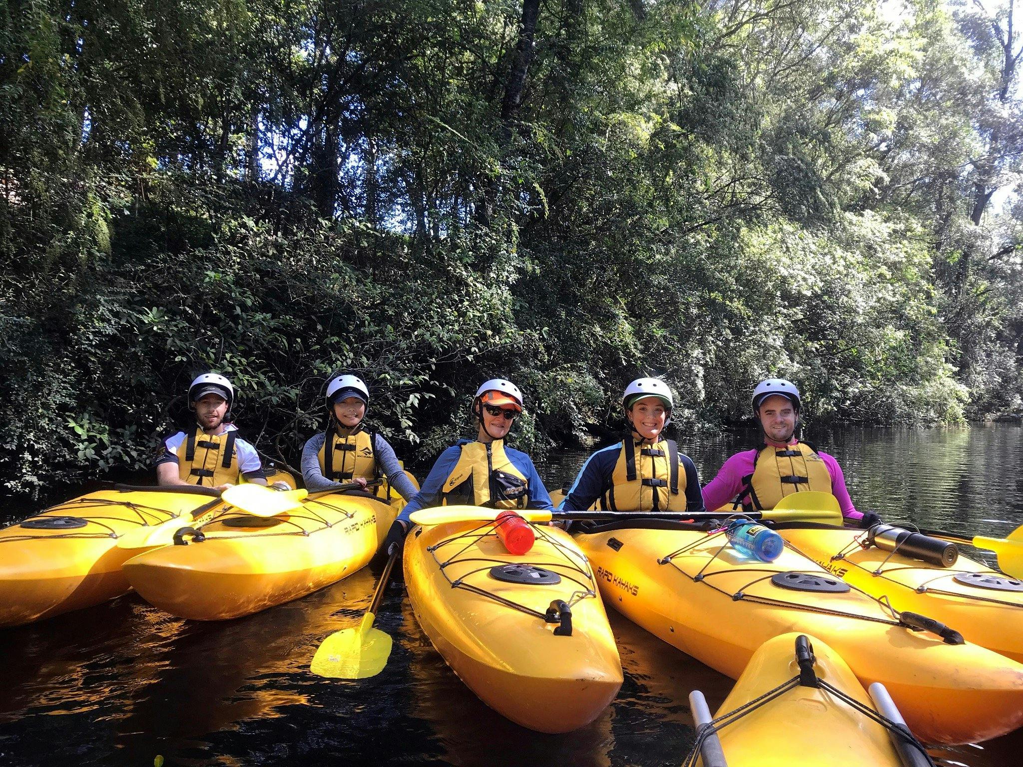 A group of Walking Rivers clients are sitting in kayaks with bush in the background on the river