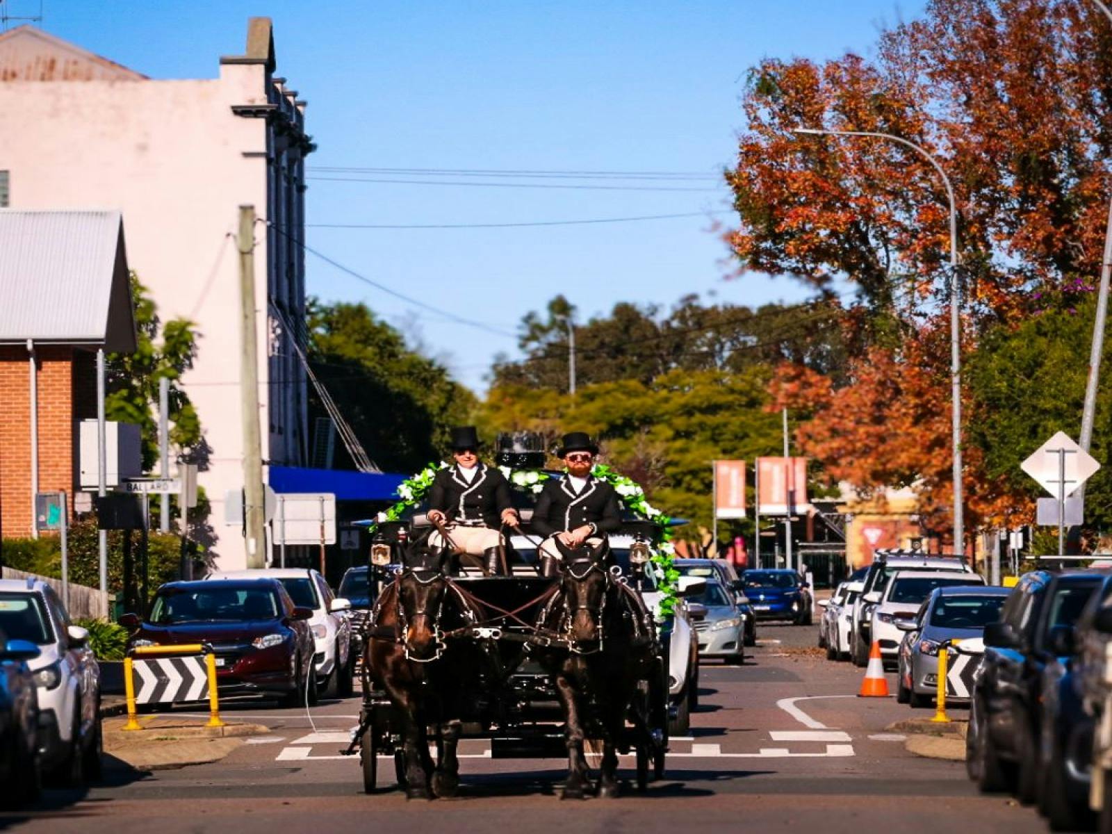 Maitland Carriage Rides - Maitland Heritage Festival