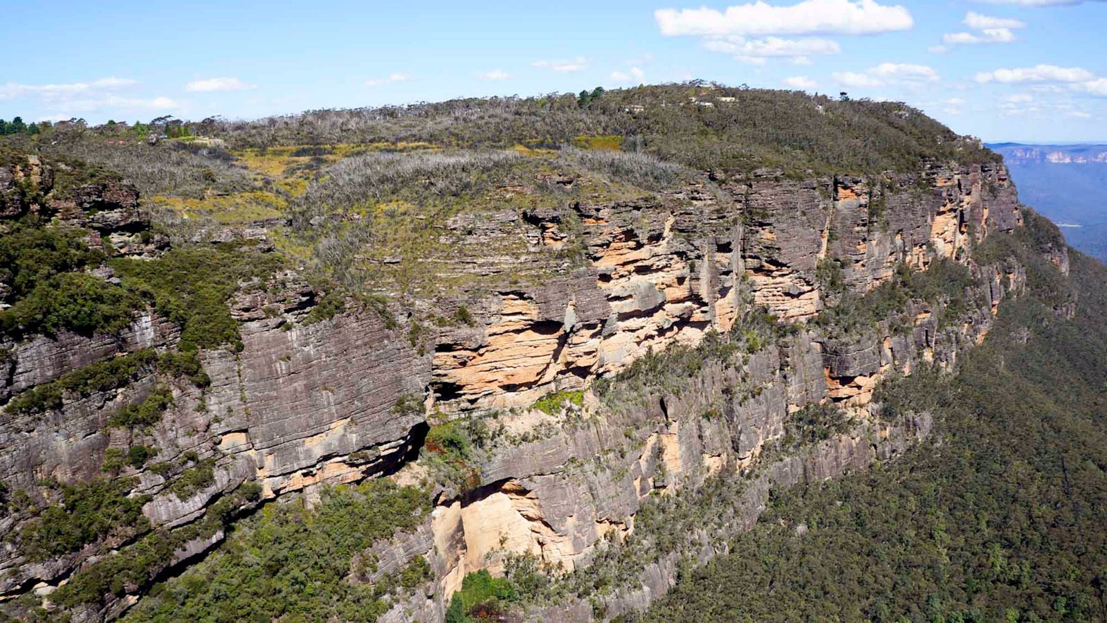 Prince Henry Cliff Walk