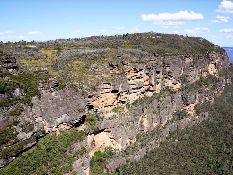 Prince Henry Cliff Walk, Blue Mountains National Park. Photo: Steve Alton