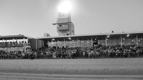 Enjoying a summer night of racing