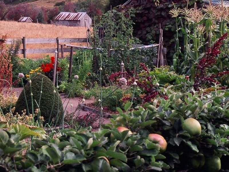 Wychwood Garden & Nursery Discover Tasmania