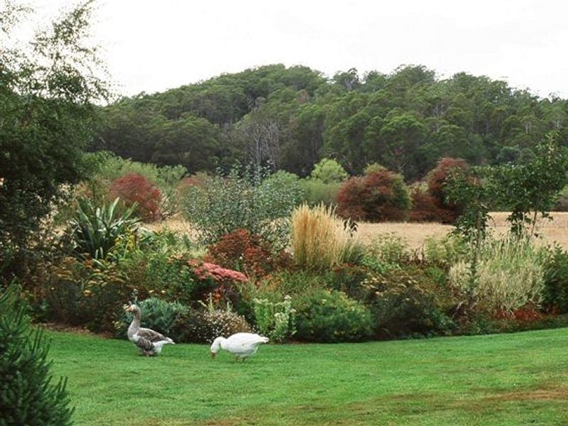 Wychwood Garden & Nursery Discover Tasmania