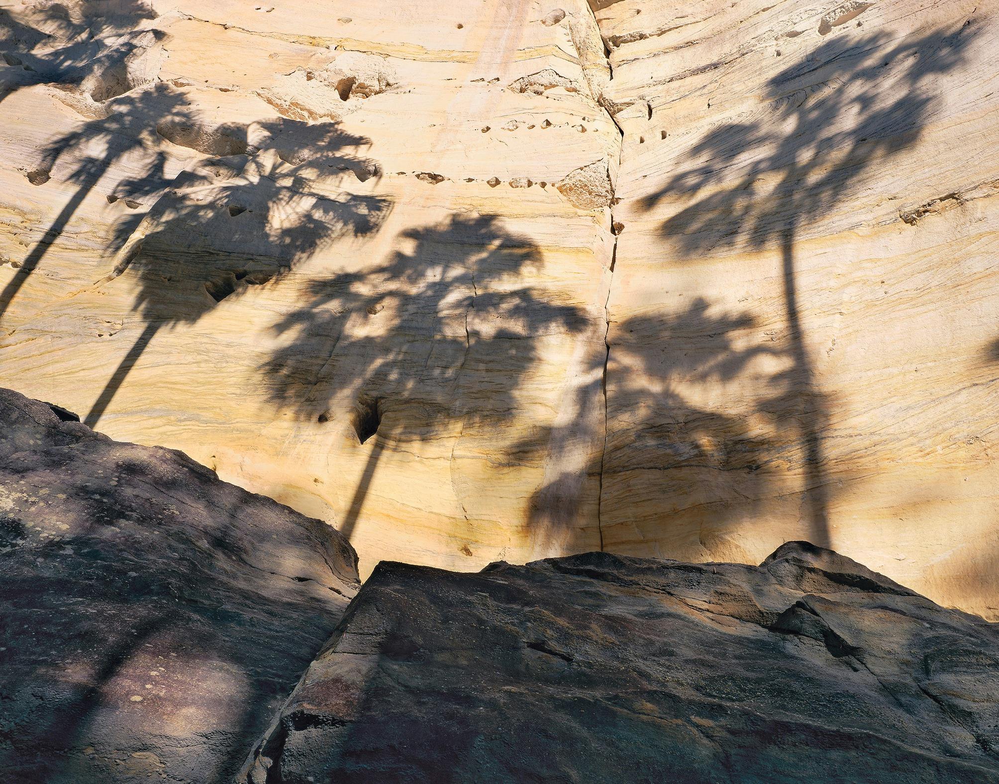 A photograph of a sandstone cliff with palm tree shadows
