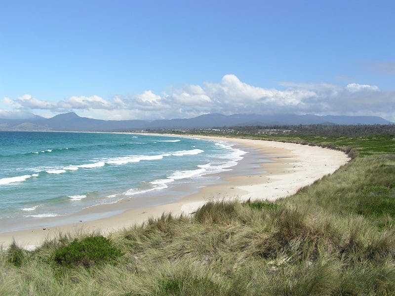 Scamander Tourist Park - Discover Tasmania