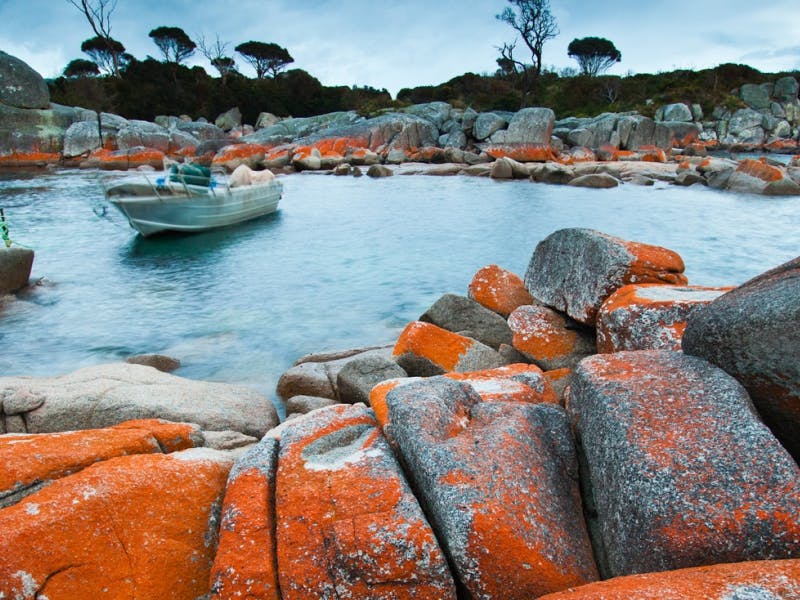 Bay Of Fires Dive Discover Tasmania