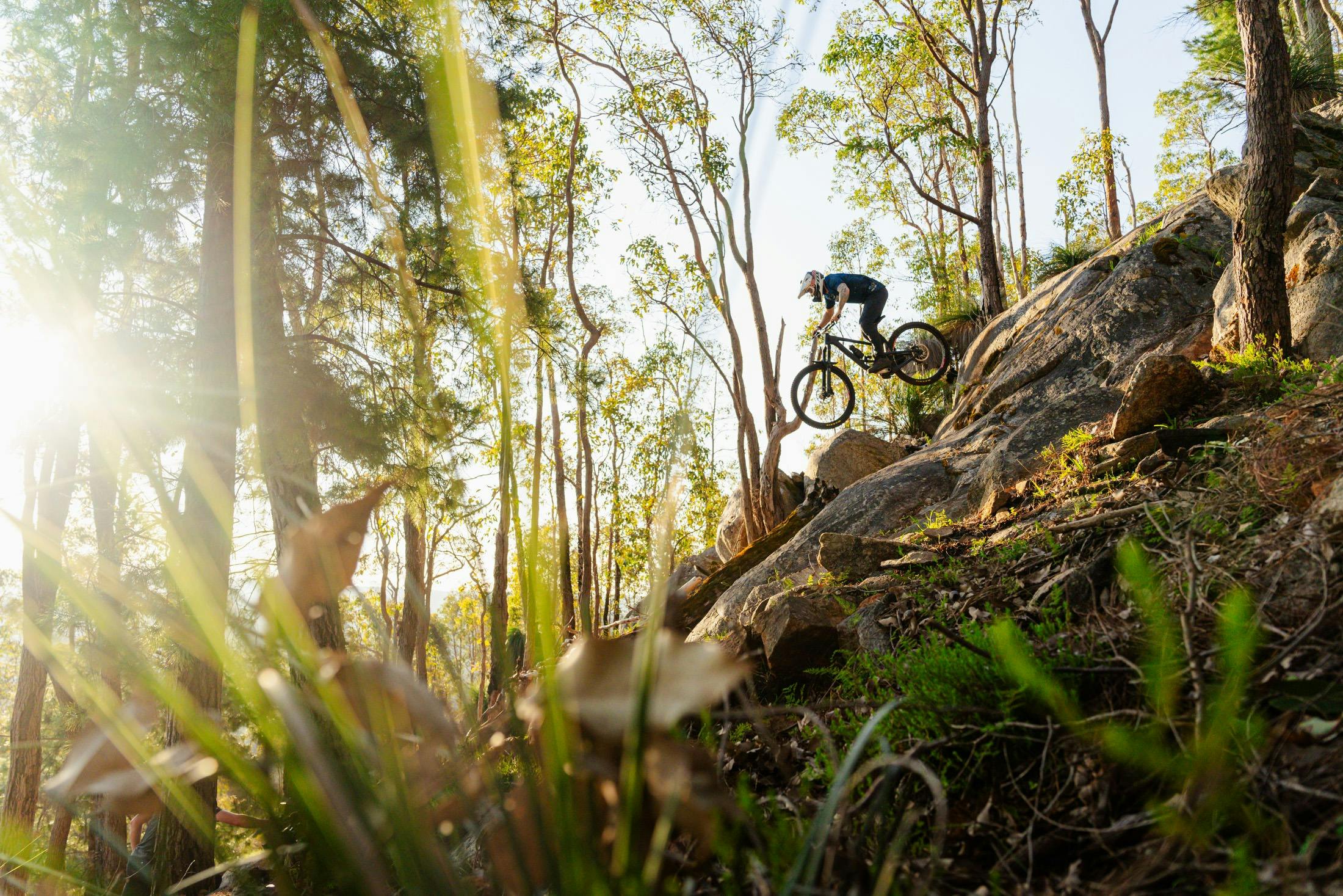 Toms Crossing Mountain Bike Trails