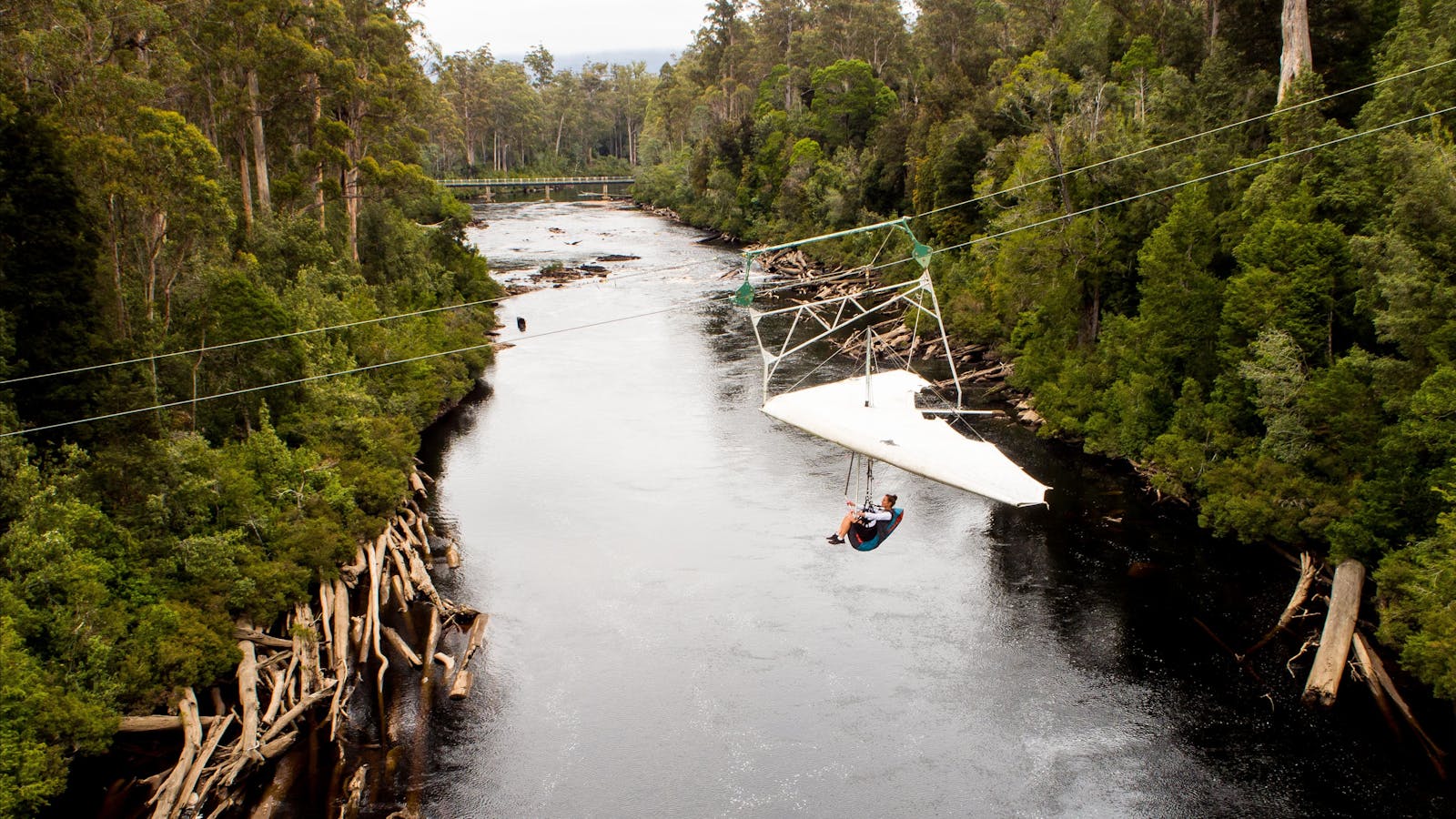 Eagle Hang Glider - Tahune Adventures Tasmania