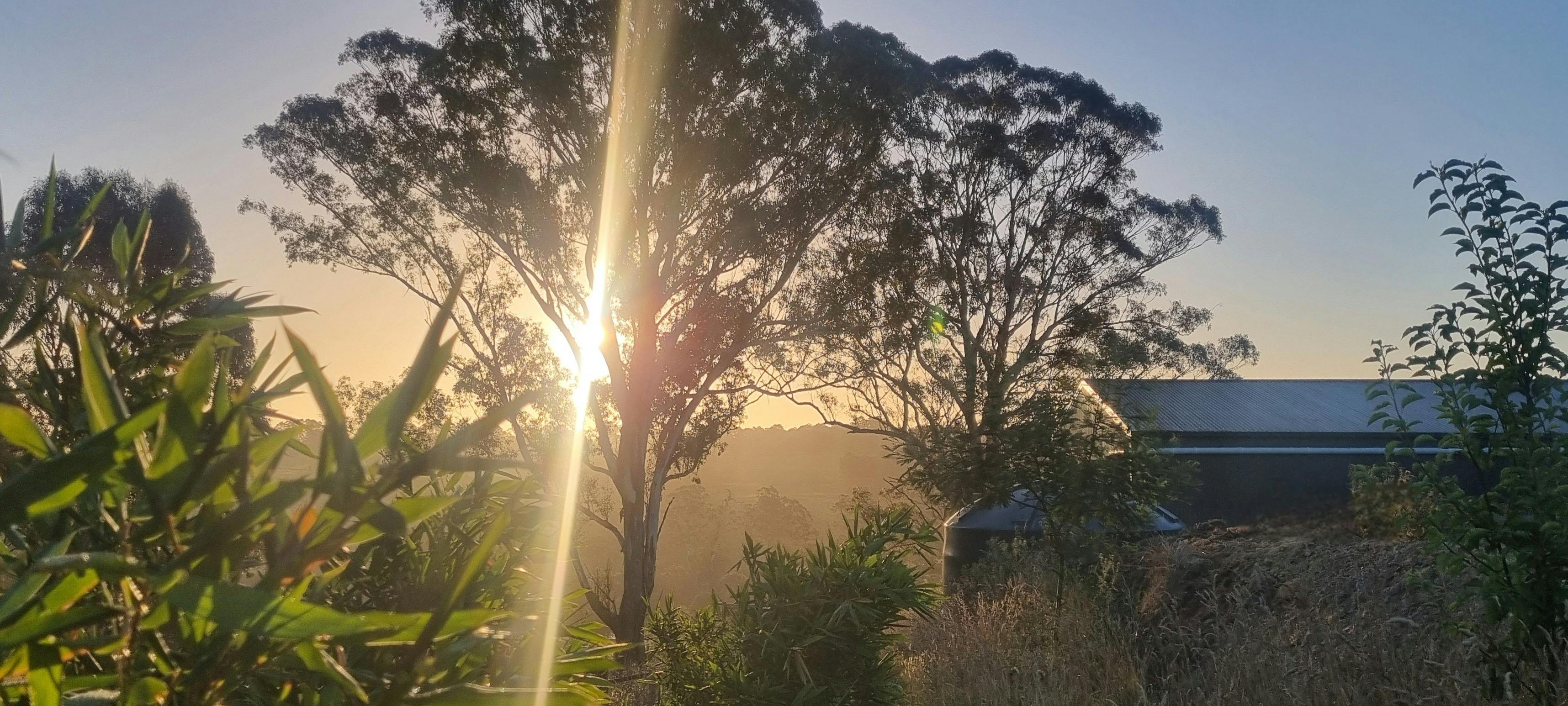 Nestled into the hillside