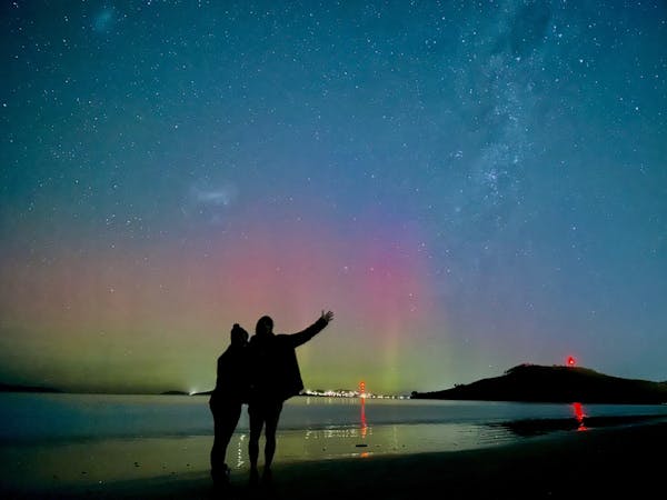 Van Experiences Tasmania