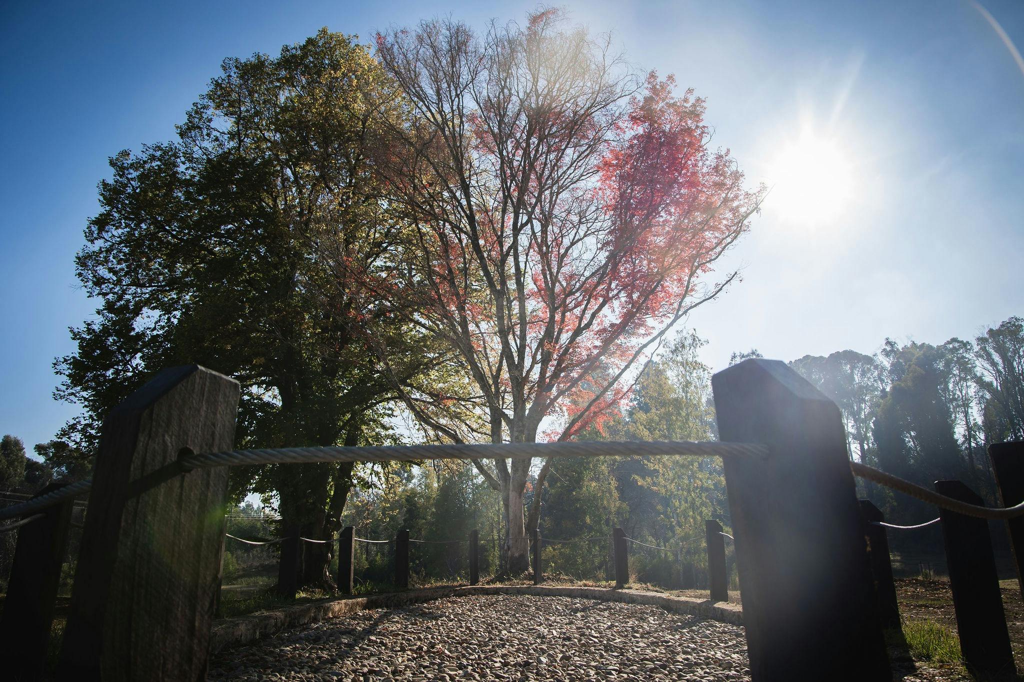 Lochinvar Rest Area, Green Hills State Forest