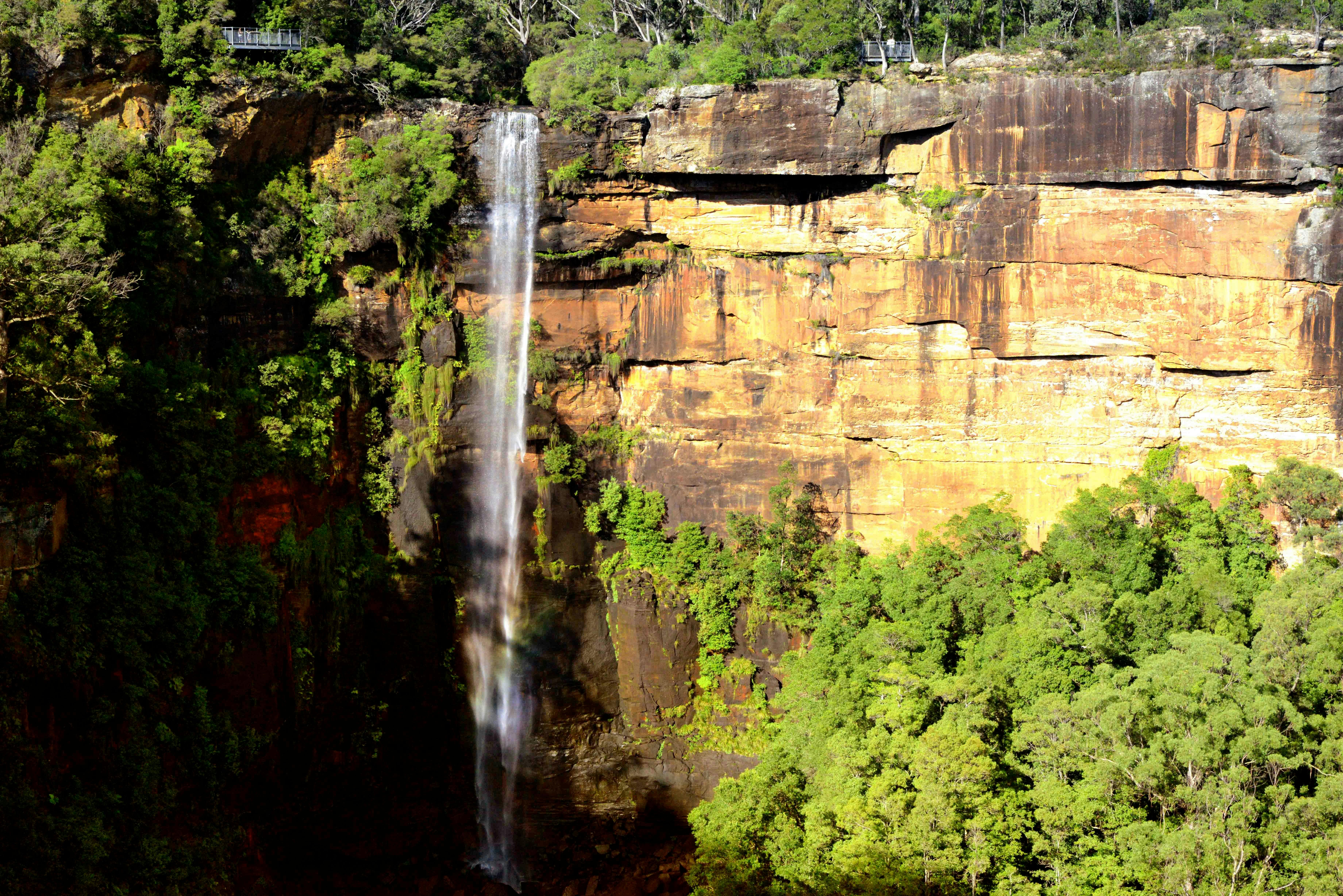 Fitzroy Falls image