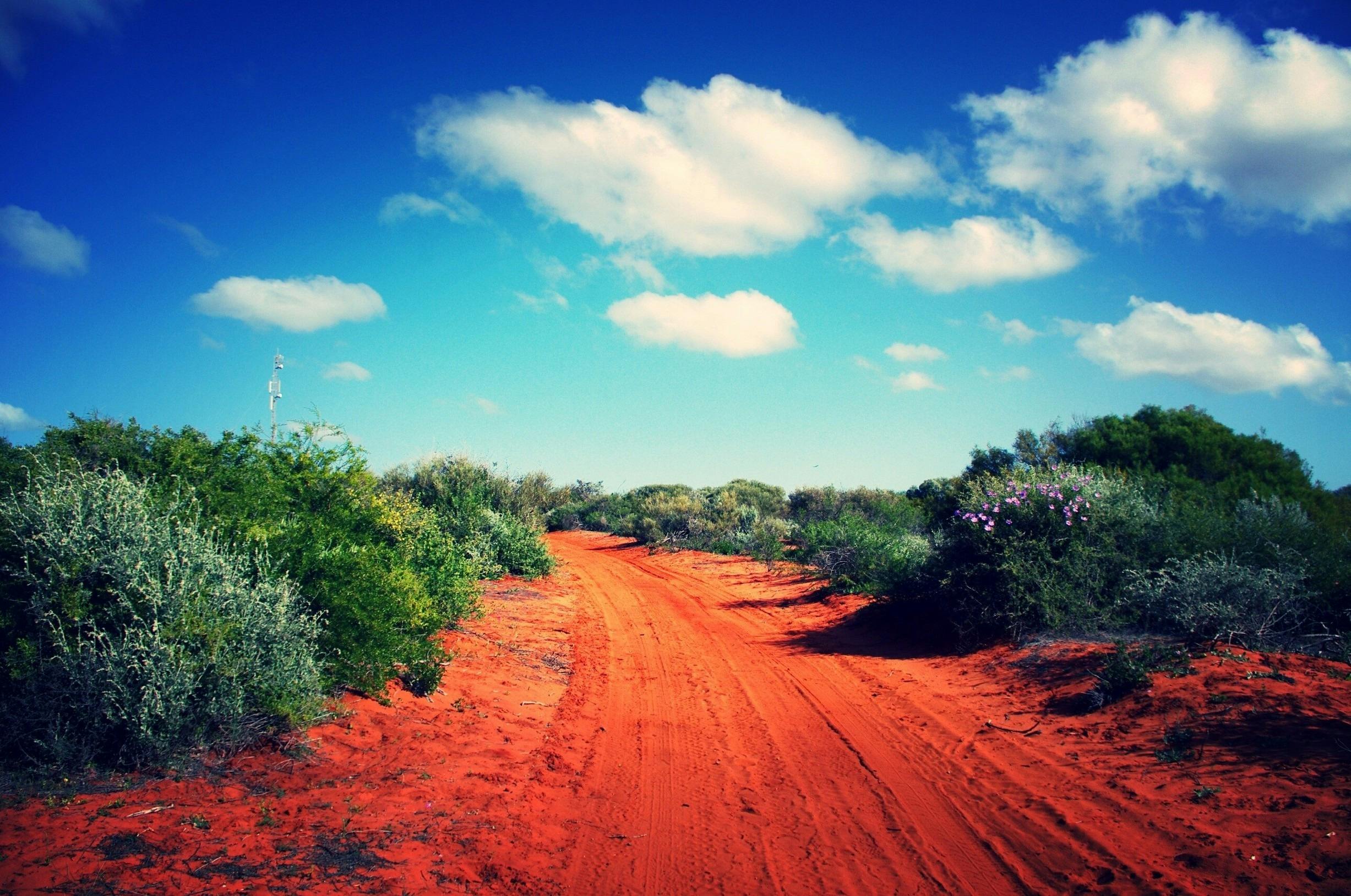 Pilbara Wildflower Trail, Monkey Mia, Western Australia