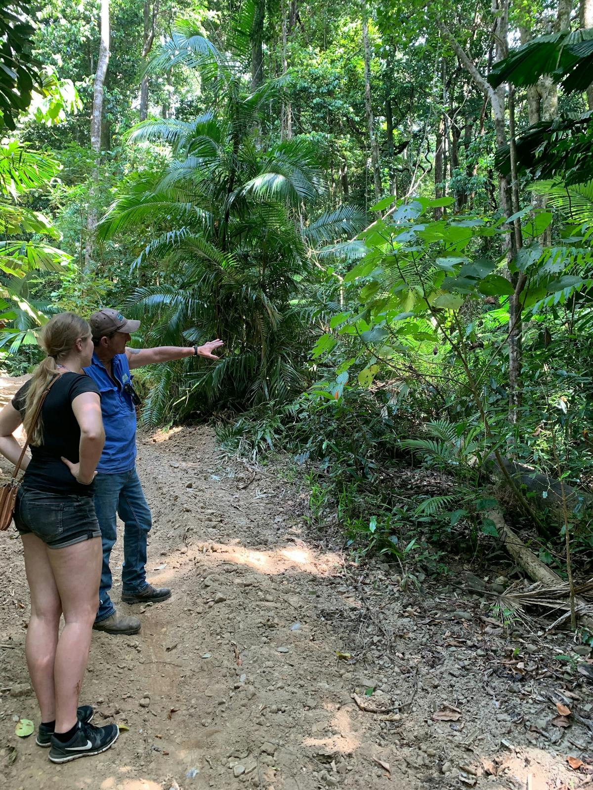 Explore the Daintree Rainforest on this Eco Walk