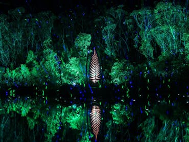 Illumina light show at Kingfisher Bay Resort, K'gari (Fraser Island)