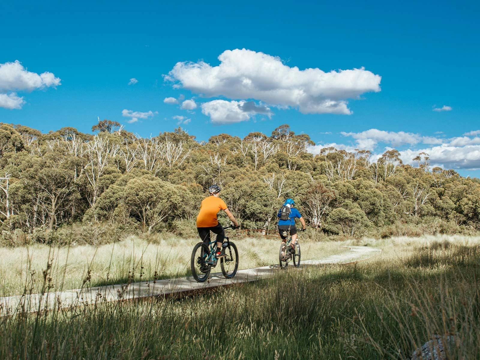 Summer Mountain Bike Riding in Australia