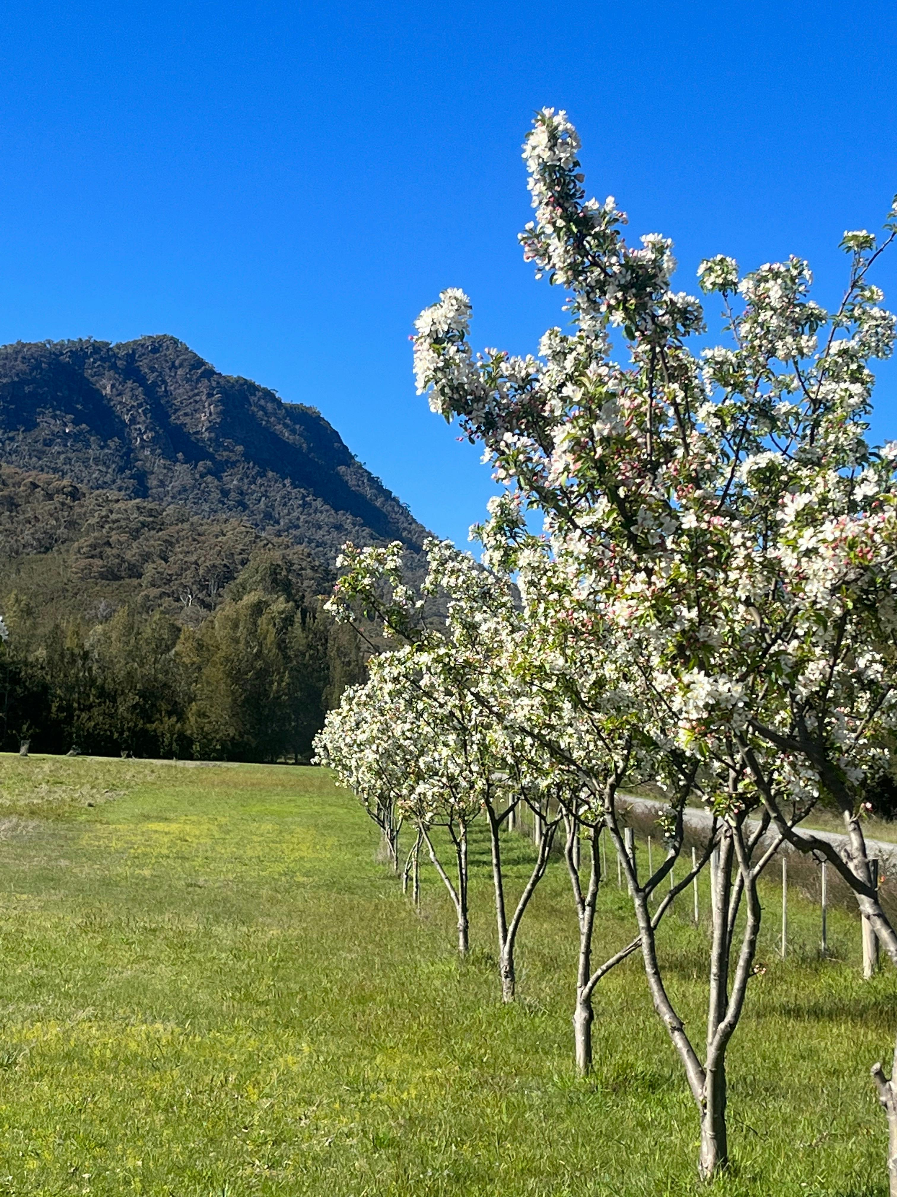 view of the cathedral