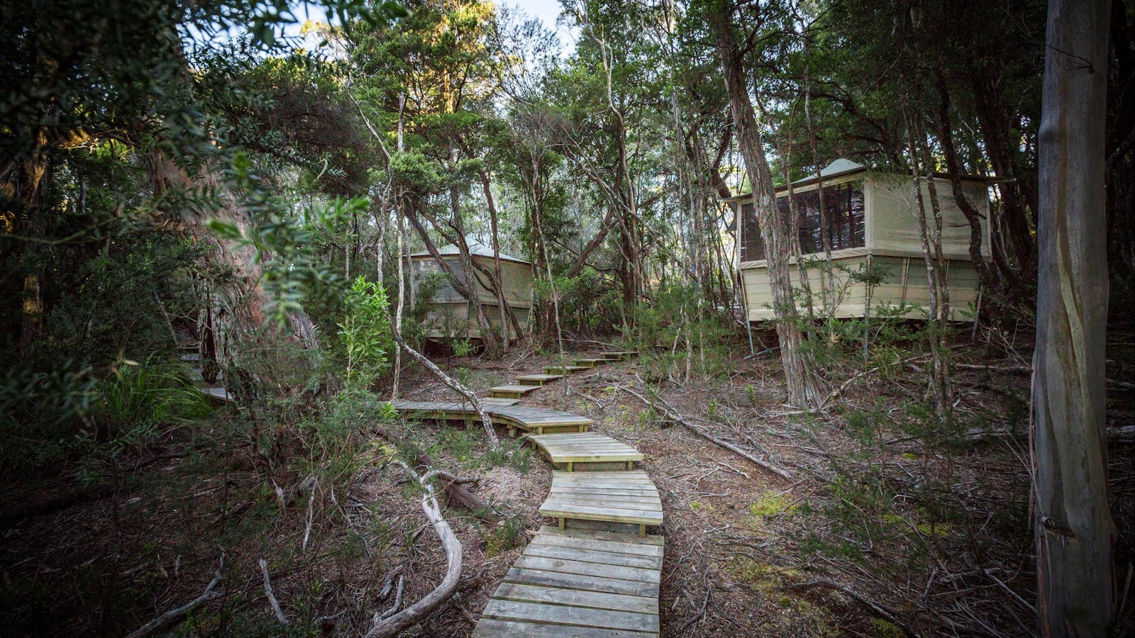 South West Camp