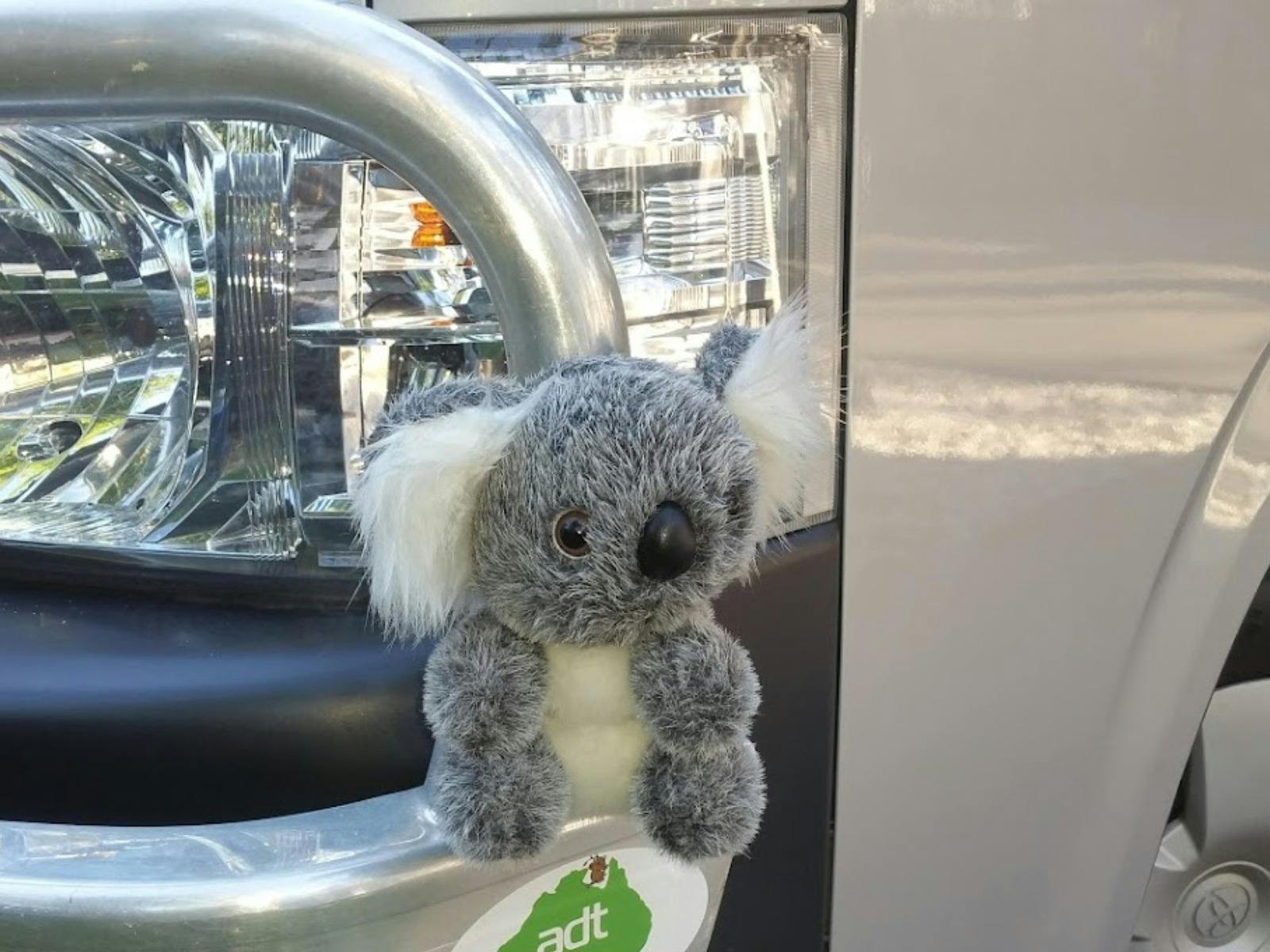 Mini Bus - Adventure Day Trips