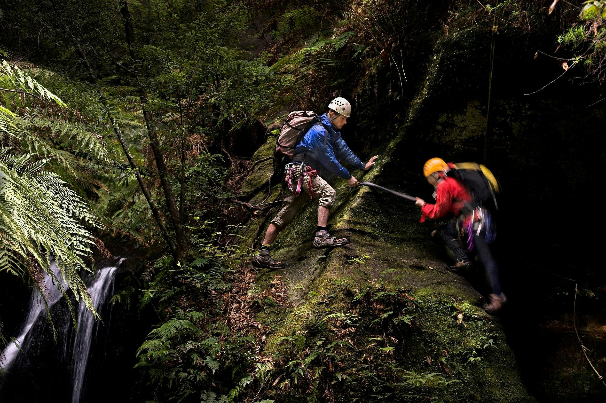협곡 투어, 부시워킹 투어, 하이킹 투어, 오프 트랙 투어