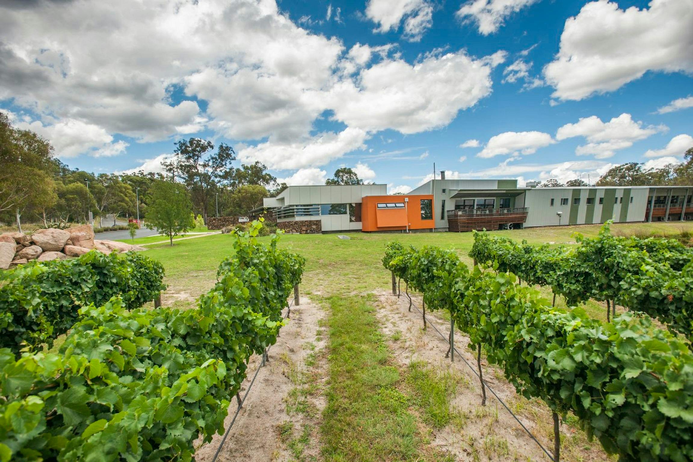 Varias at Queensland College of Wine Tourism