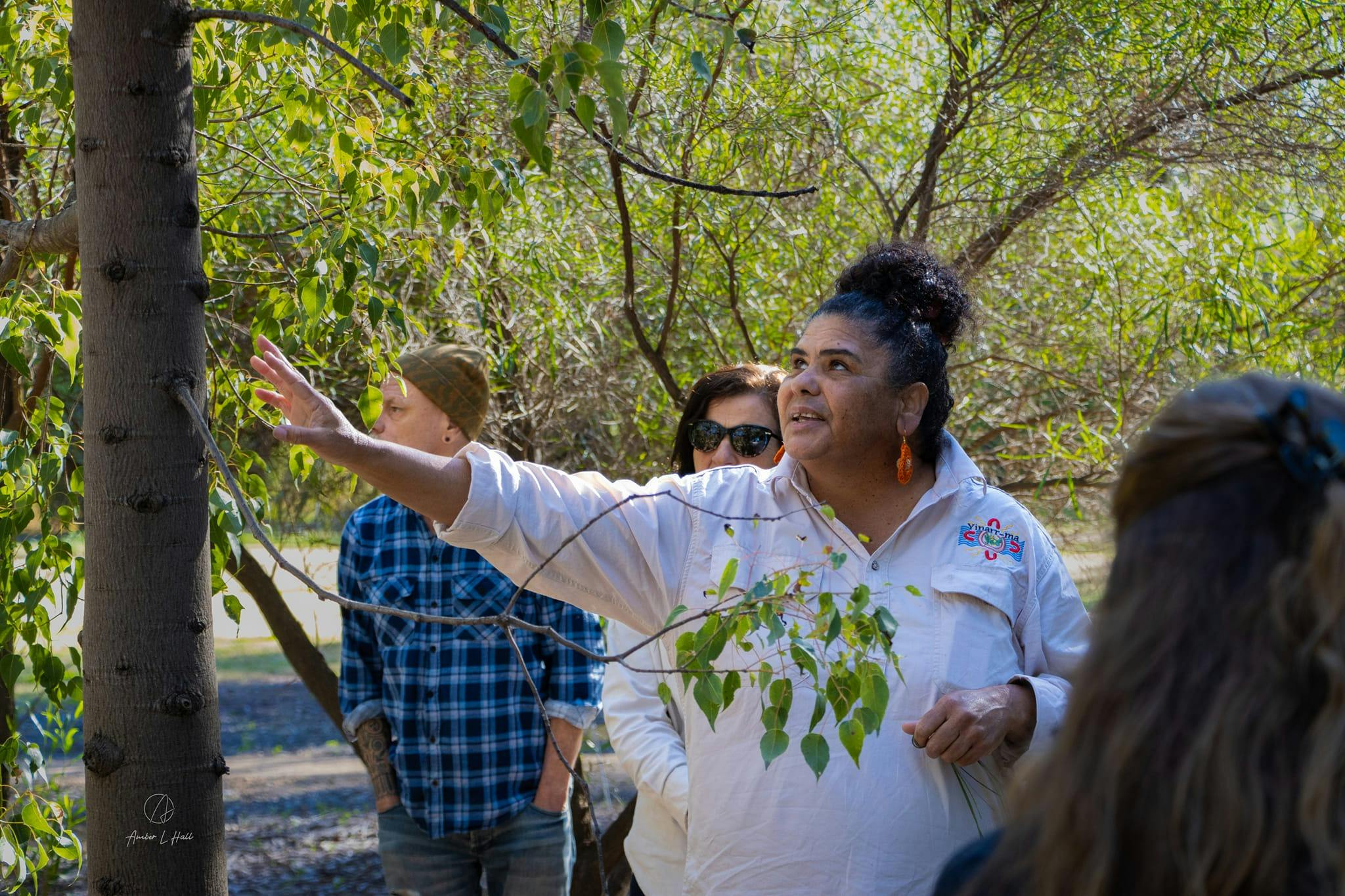 이나르마 부시 터커 투어