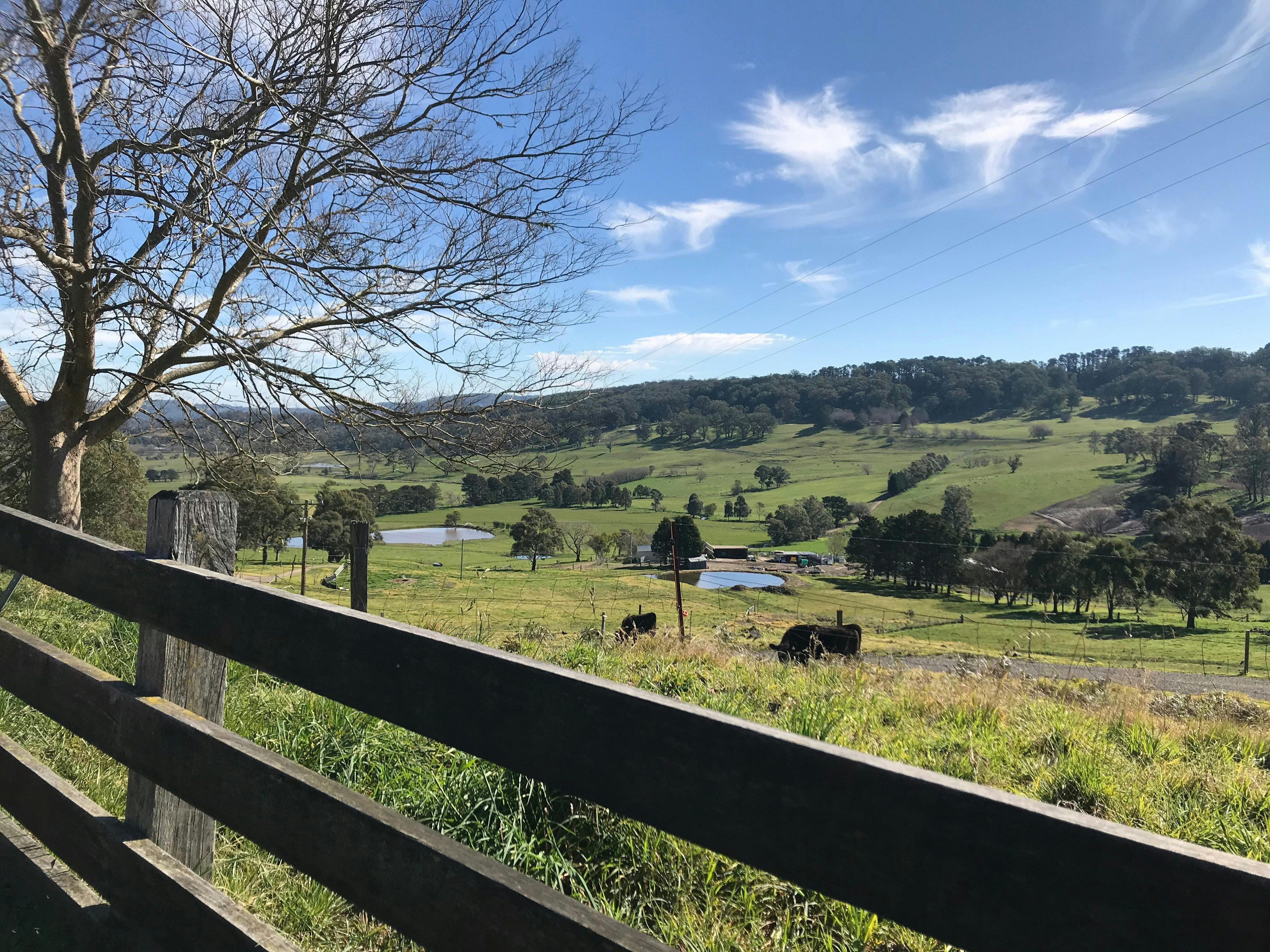Scenic Drives in the Southern Highlands