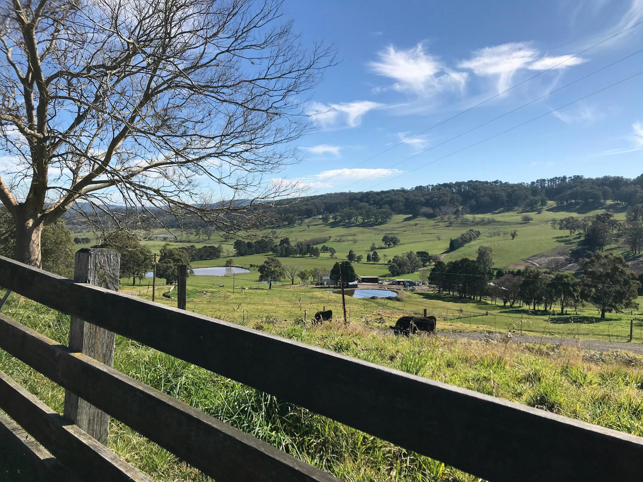 Scenic Drives in the Southern Highlands