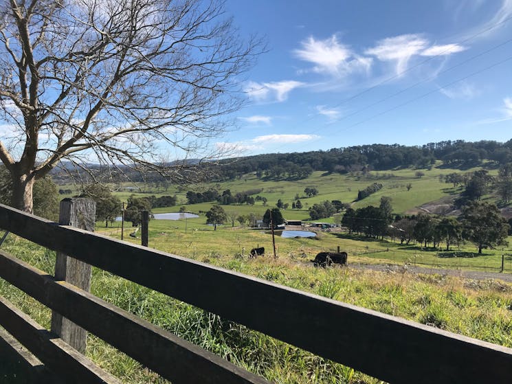 Scenic Drives in the Southern Highlands