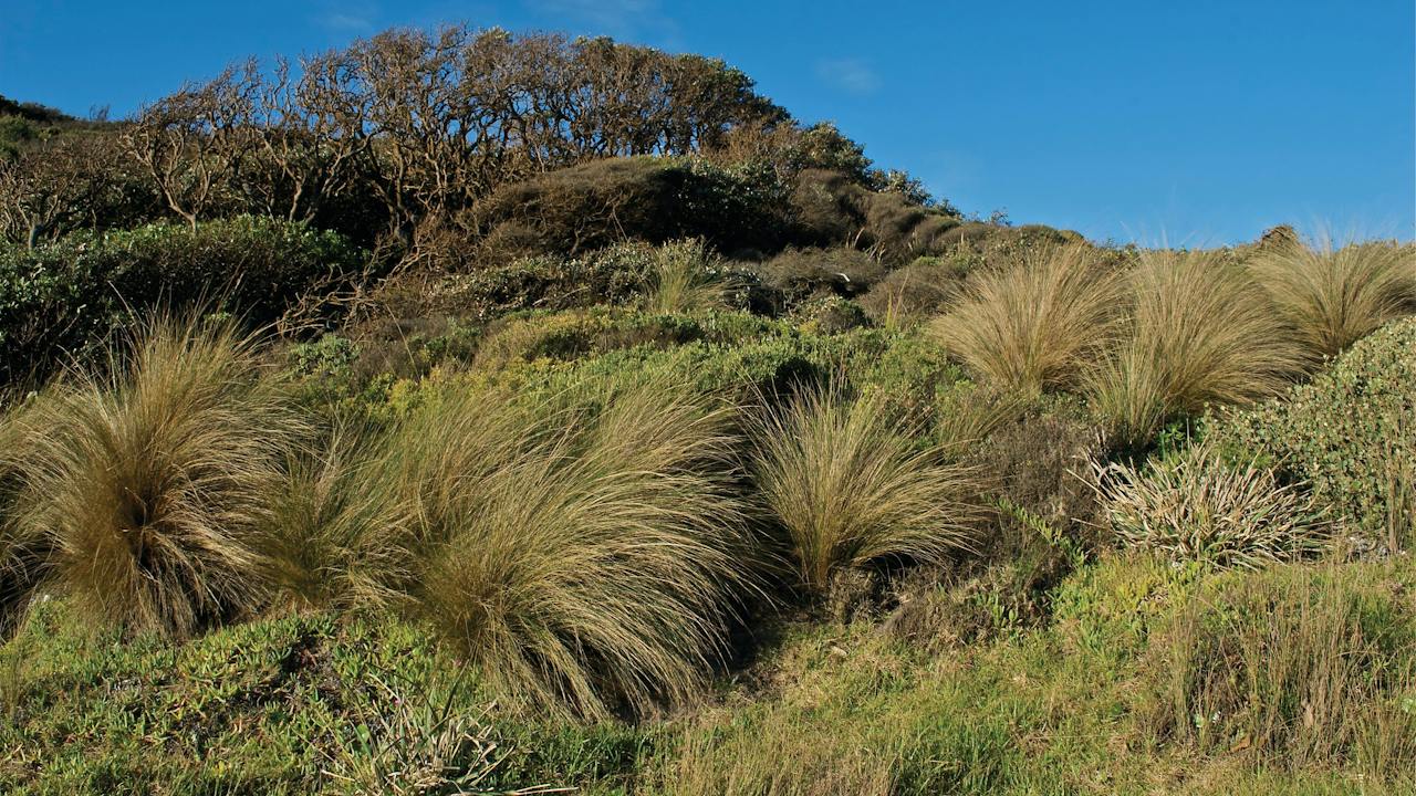 Cape Conran Coastal Park