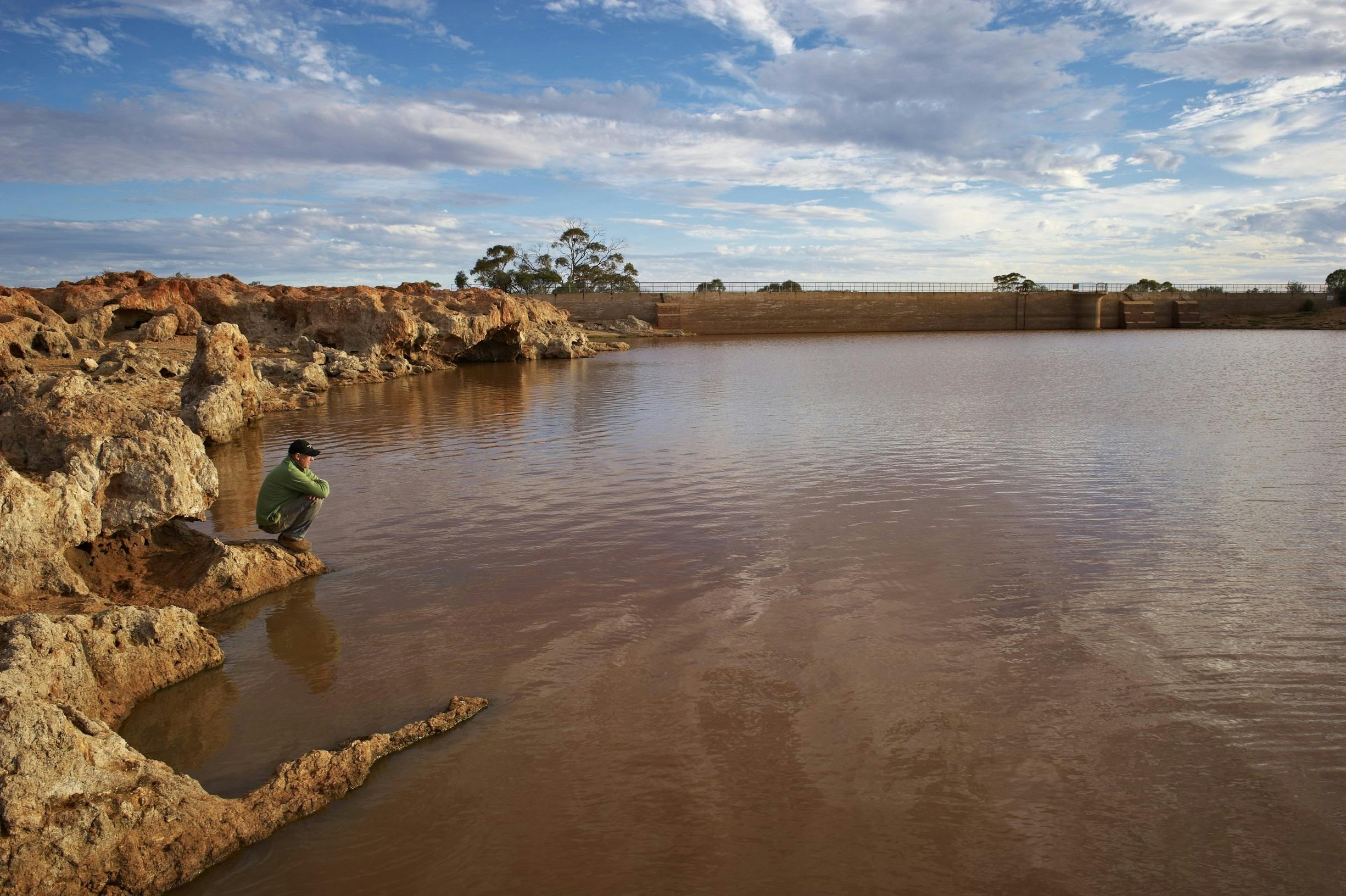Goldfields Wildflower Trail, Menzies, Western Australia