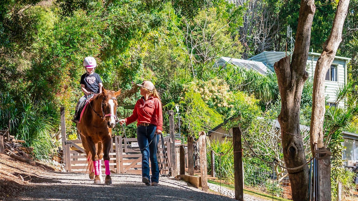 Visit the horses