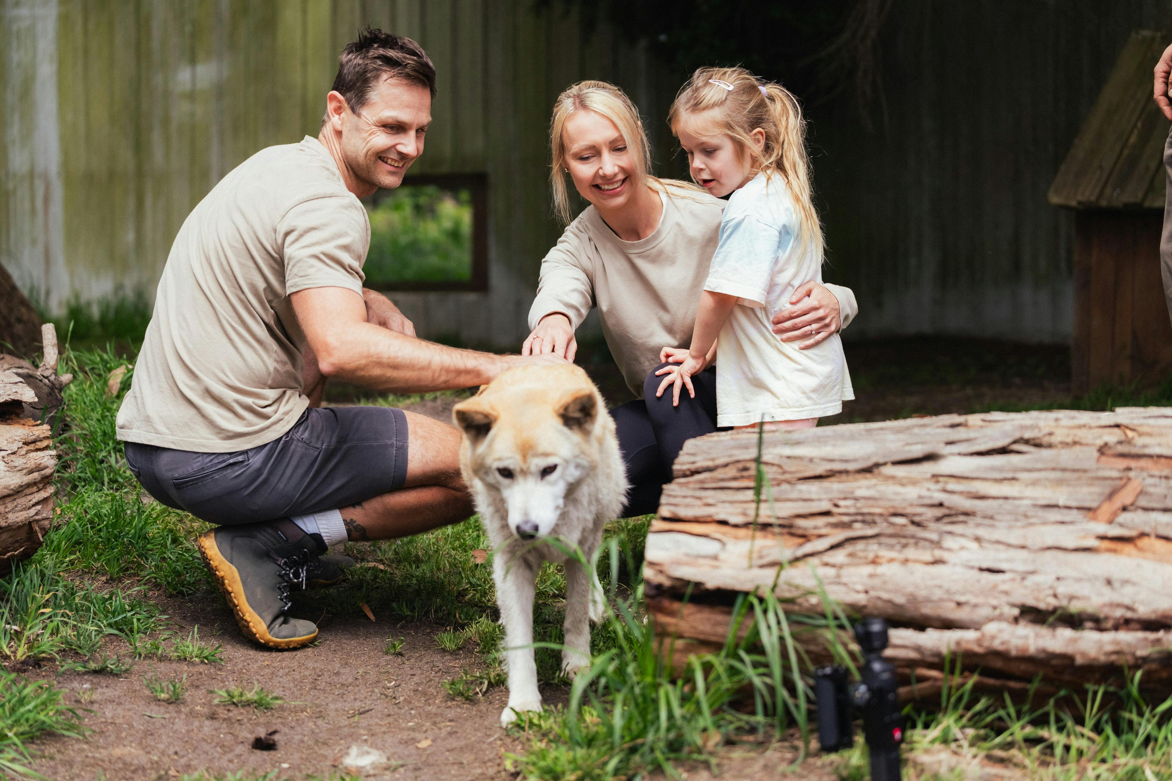 Great Ocean Road Wildlife Park