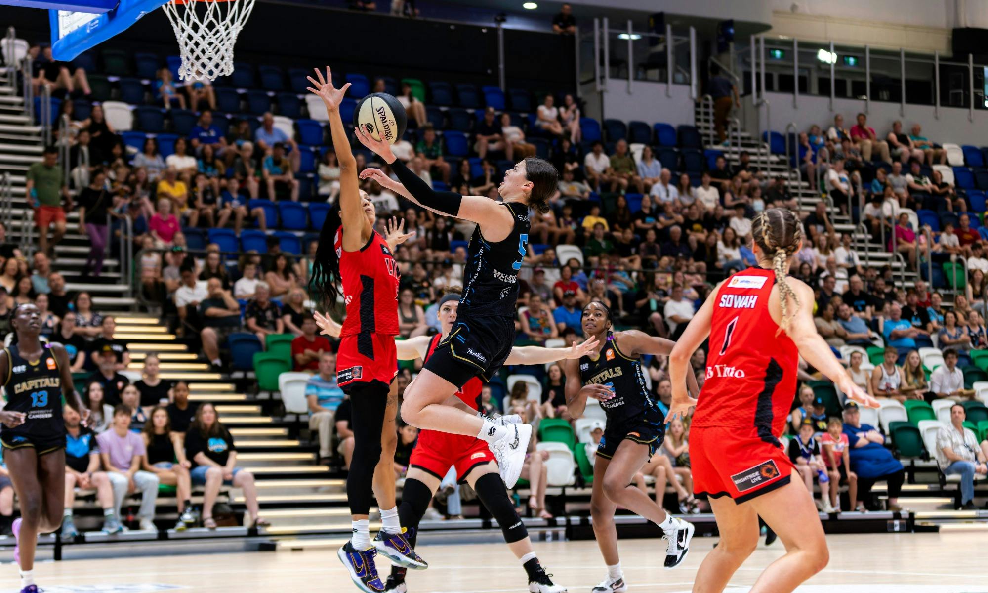 UC Capitals player driving to the basket for a layup during a WNBL game.