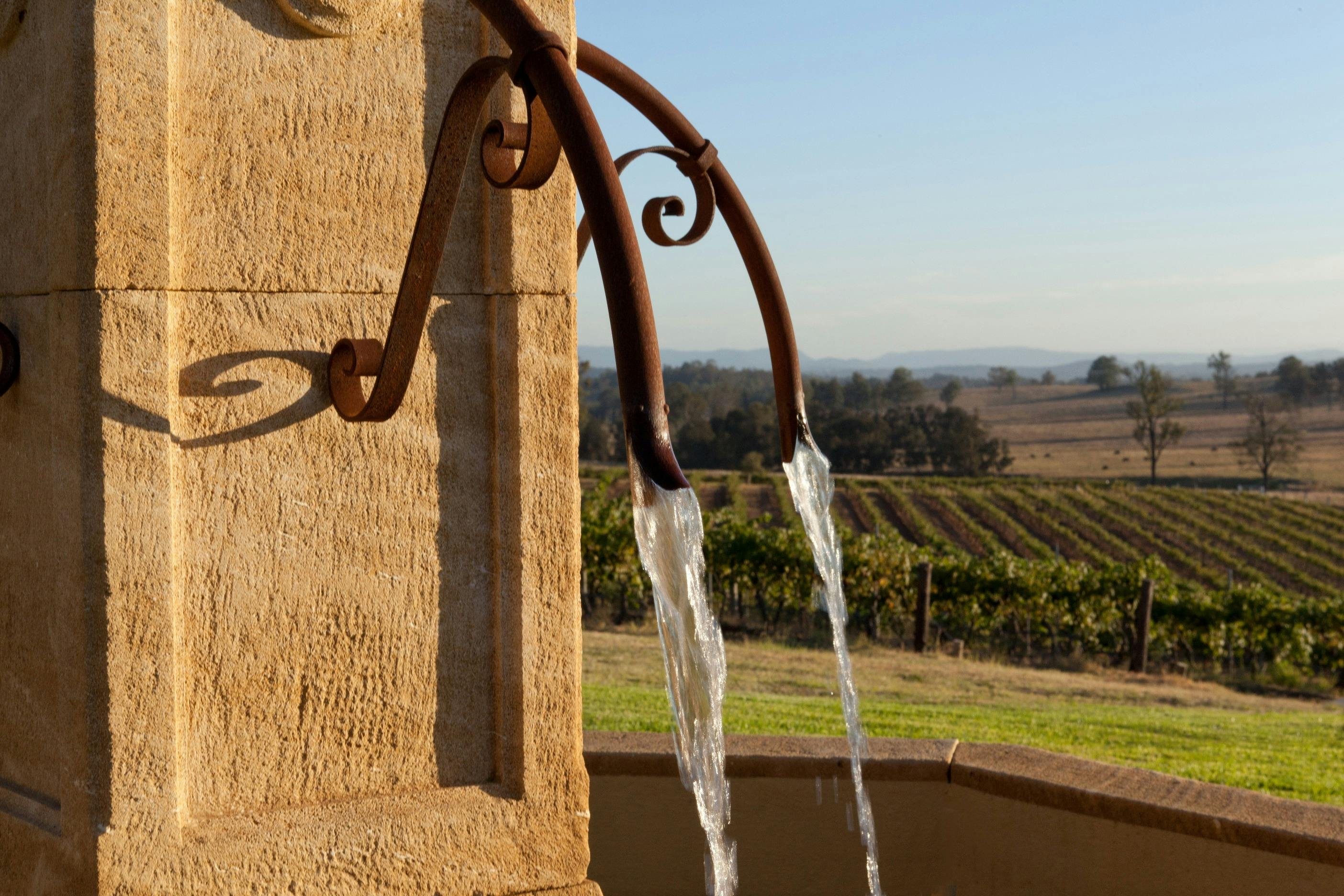 Moon Mountain Vineyard