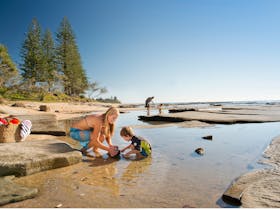 Shelly Beach image