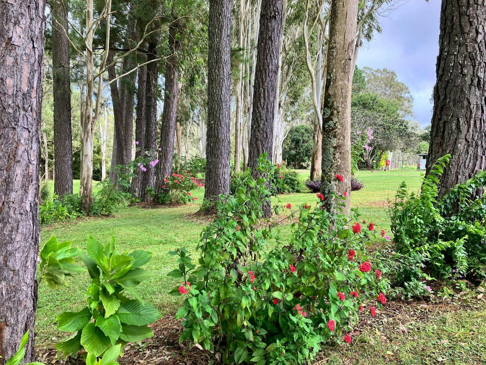 Camping and Caravanning Grounds