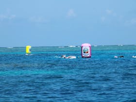 Great Barrier Reef Ocean Swim Series - The 2022 Relay