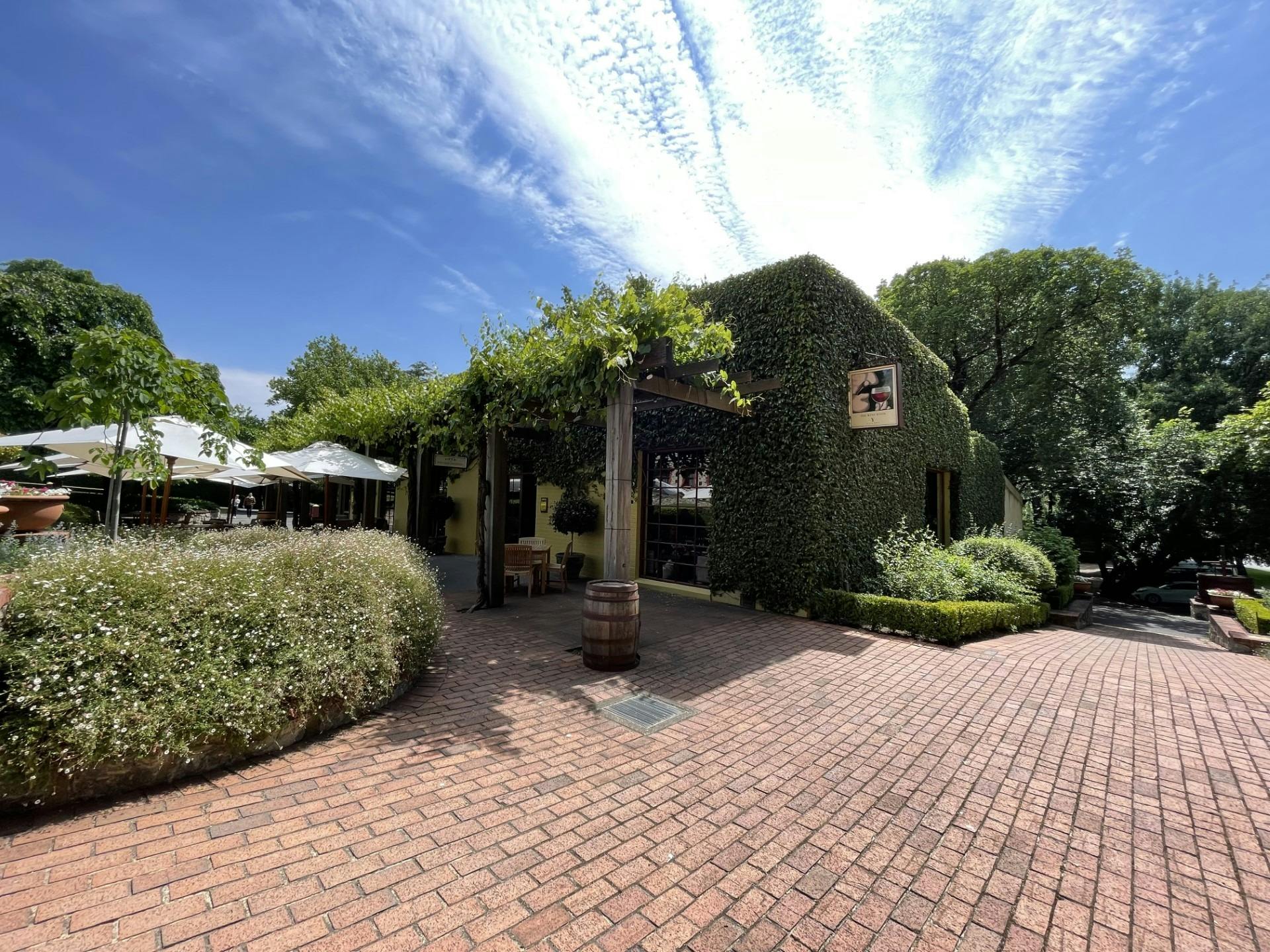 WIne Room Angaston