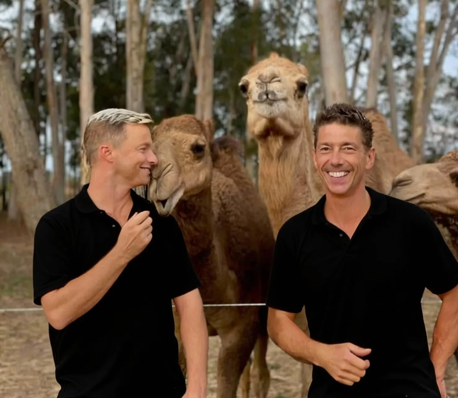 Meet your co founders and camels