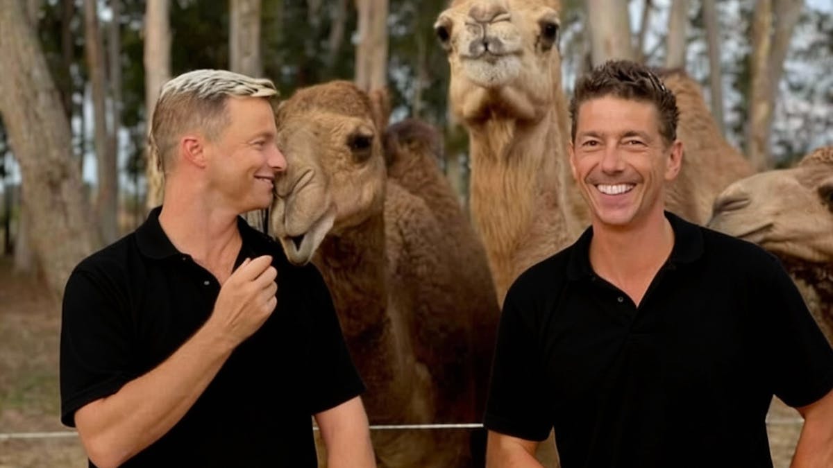 Meet your co founders and camels