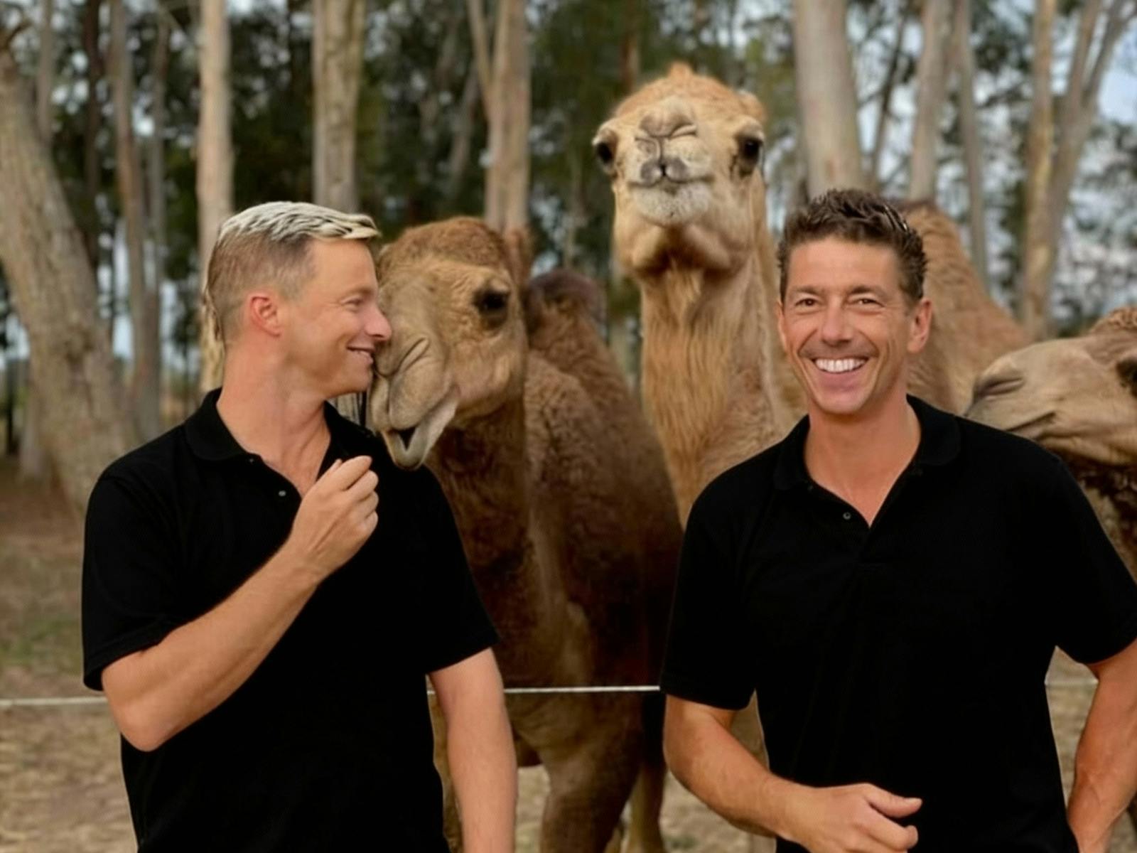 Meet your co founders and camels Meet your co founders and camels
